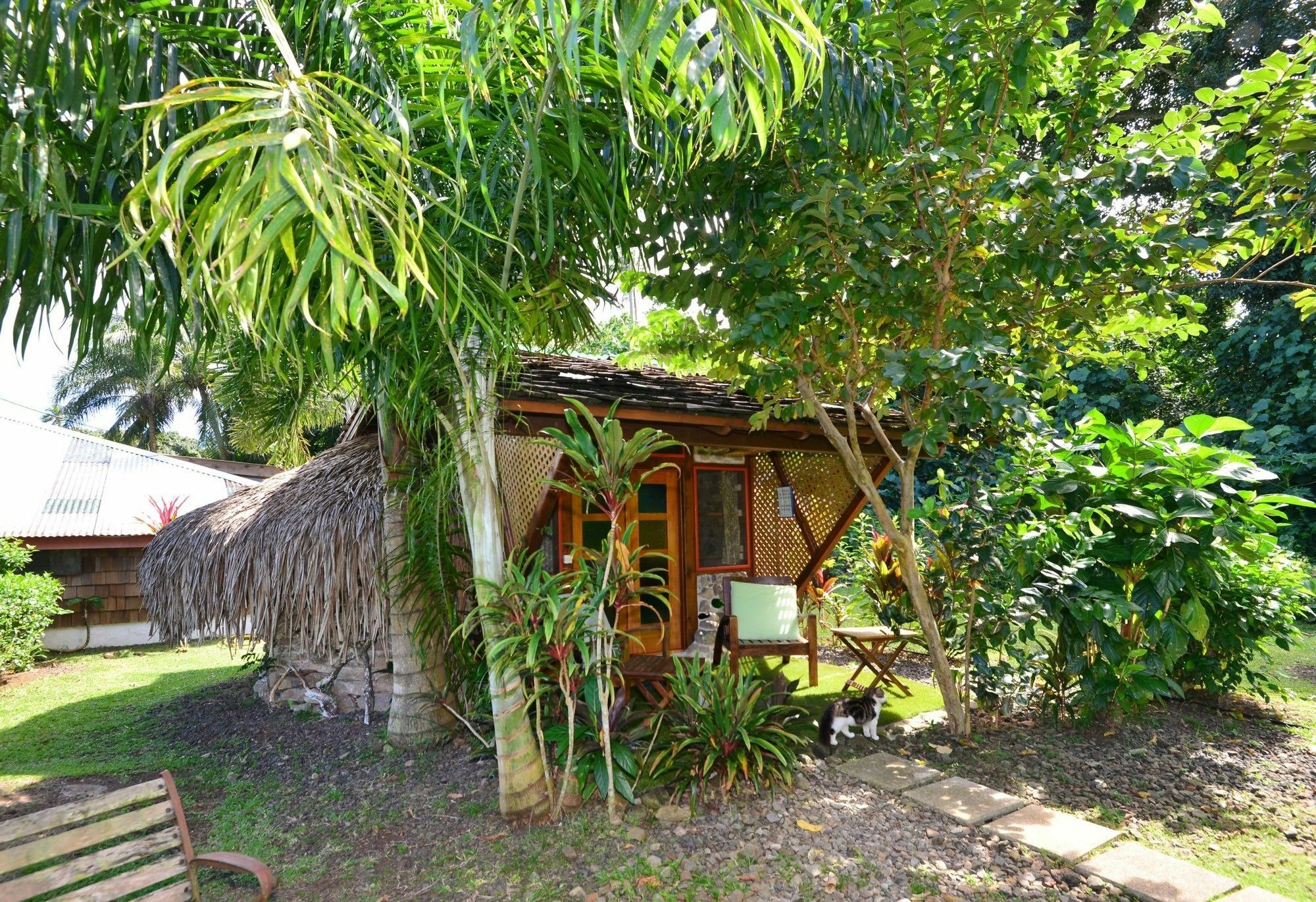 Mark'S Place Moorea Exteriér fotografie